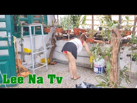 Single mother takes care of the garden on the rooftop || Lee Na Tv