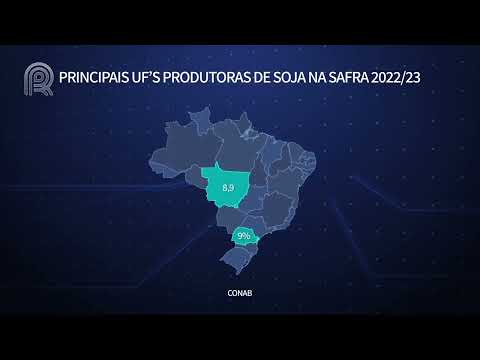 Soja: Conab estima produção e área. Órgão do G20 indica safra mundial | Canal Rural