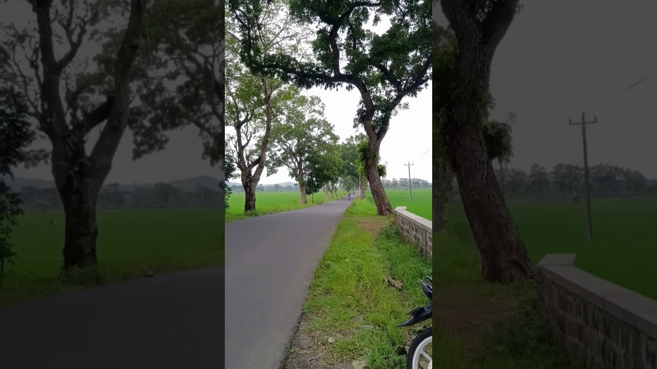 cek sound vixion 177cc