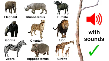 ÙØ±Ø³ Ø§Ù„Ù†Ù‡Ø± Ø¨Ø§Ù„Ø§Ù†Ø¬Ù„ÙŠØ²ÙŠ