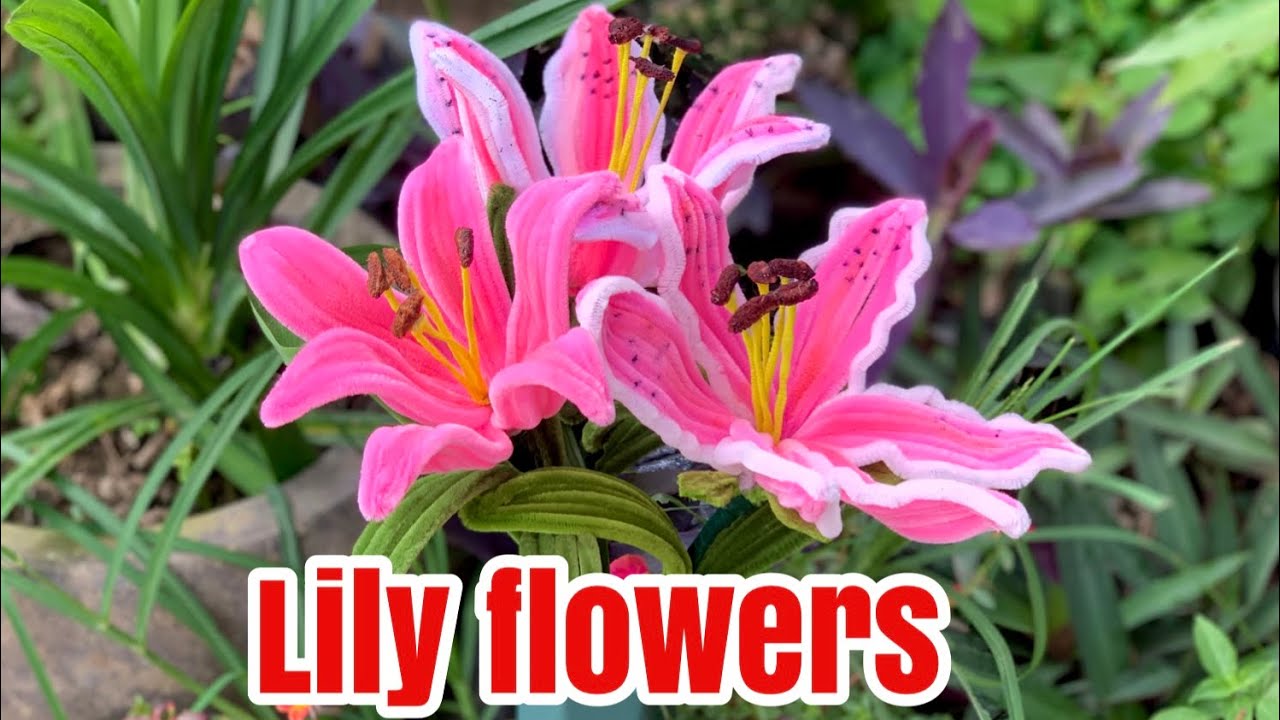 How to make beautiful Lily flowers from pipe cleaner 