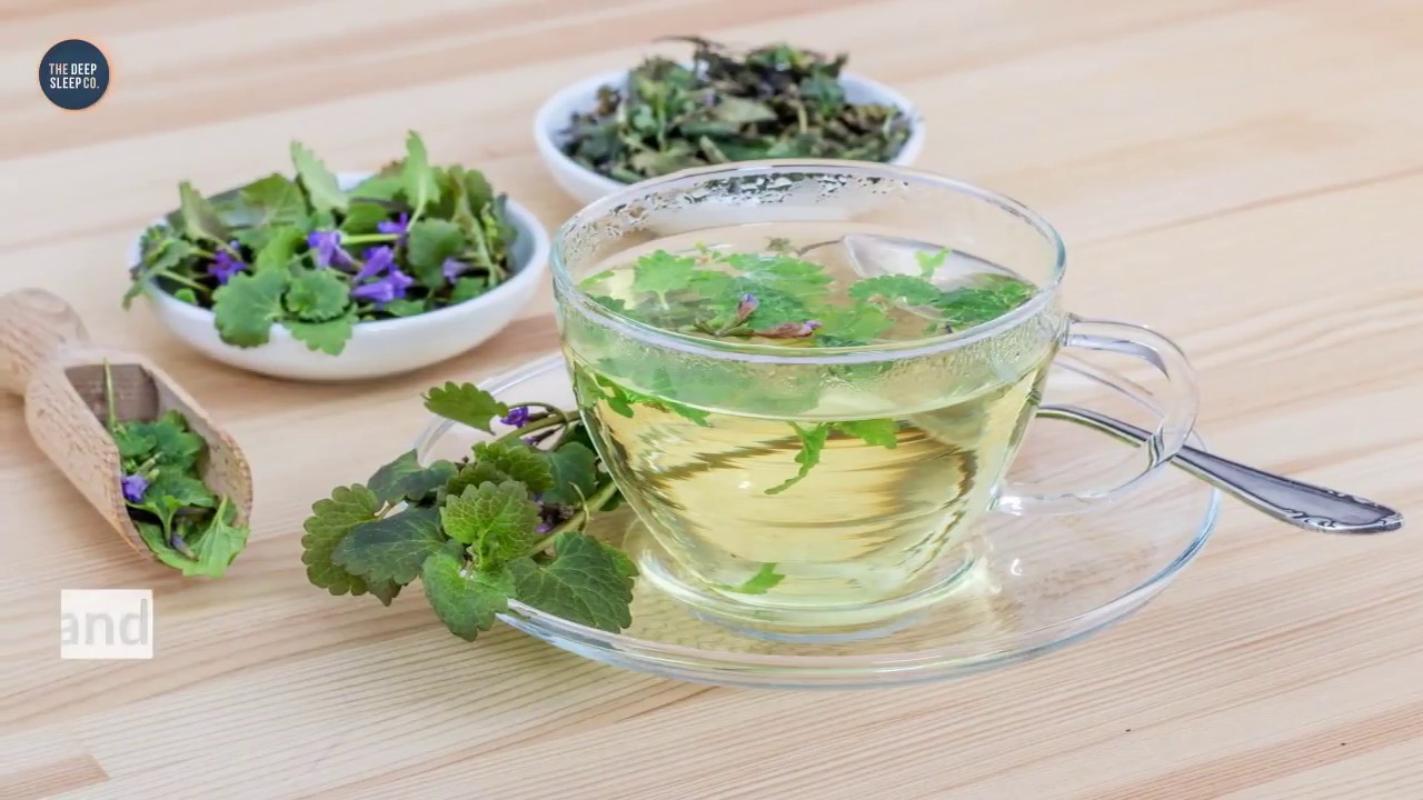 The top herbs for treating insomnia YouTube