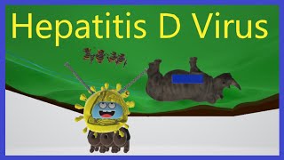 Hepatitis D Virus (Mnemonic)