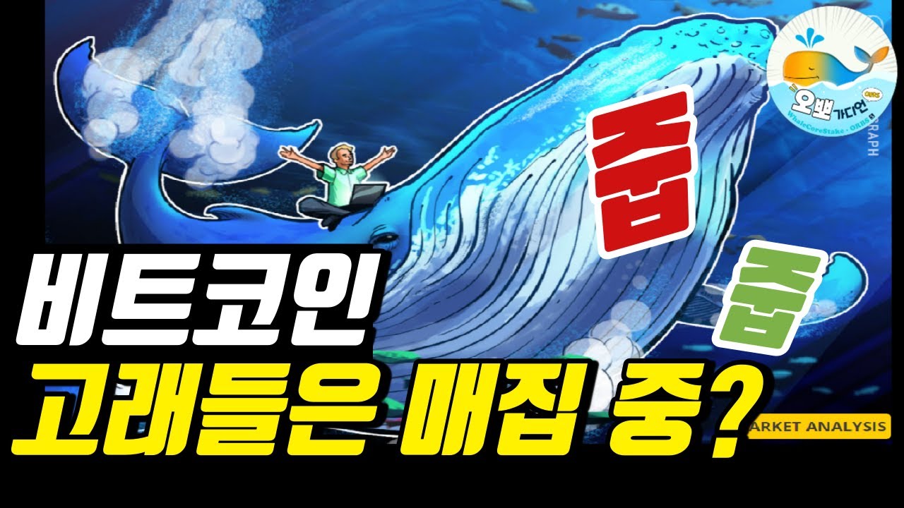 썰전 비트코인 토렌트 (33) 사진