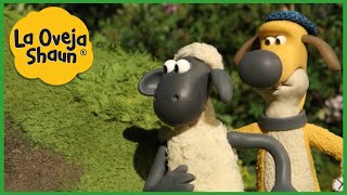 La Oveja Shaun 🐑 Oveja y perro sigilosos 🐑 Dibujos animados para niños