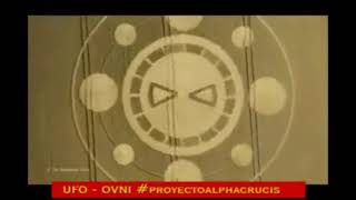 Crop Circle Círculo De Las Cosechas, En Spiers Lane Nr Alresford, Hampshire - Inglaterra 01Ago2021