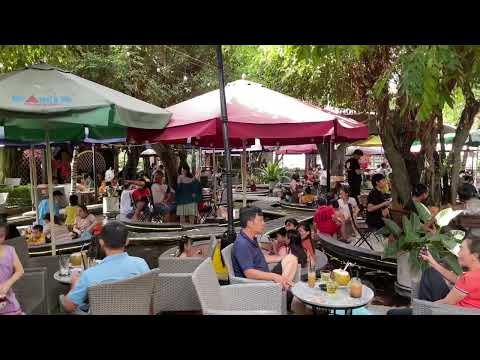 Video Khám phá ĐẢO KOI COFFEE GARDEN- Cà phê cá Koi đẹp nhất... - youtube