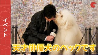 田中圭、俳優犬ベックに顔を舐められながら犬語を通訳!? 映画『ハウ』完成披露上映会