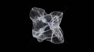 Galaxy Cluster Formation - N-Body Simulation