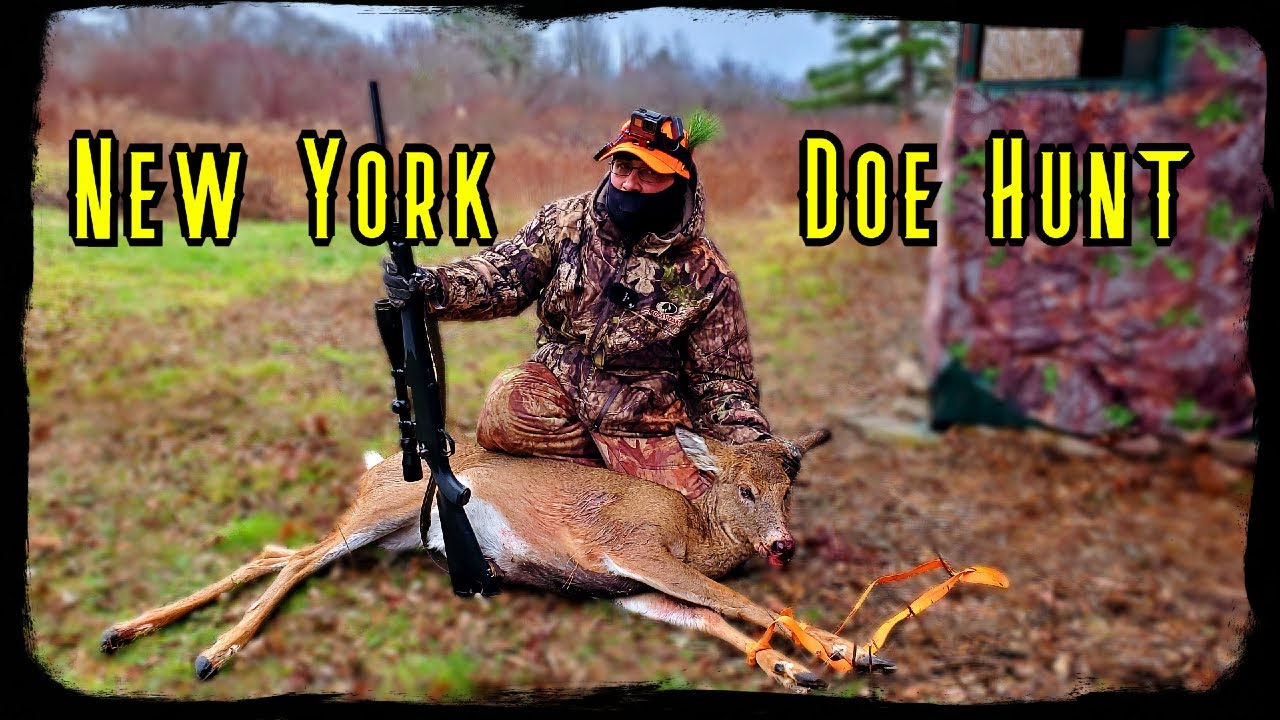 Day 2 Of 2 New York Deer Hunting Rifle Season YouTube