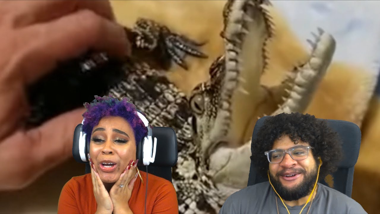 Best Of 2020 Daily Dose Of Internet ft. Chavezz