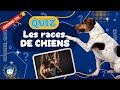 Quiz culture gnrale  les races de chiens  40 questions