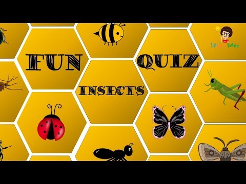 insect-quiz-|-gk-questions-|-wildlife