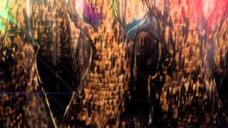 awakening of the butterflies (demo)