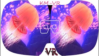 3D VR VIDEOS 527 4K