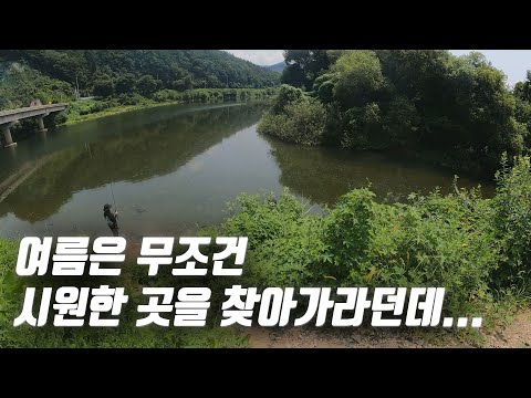 무작정 지도 보고 찾아갔는데 역시 배스는 있었습니다 _[배스피디수첩_37_괴산호]
