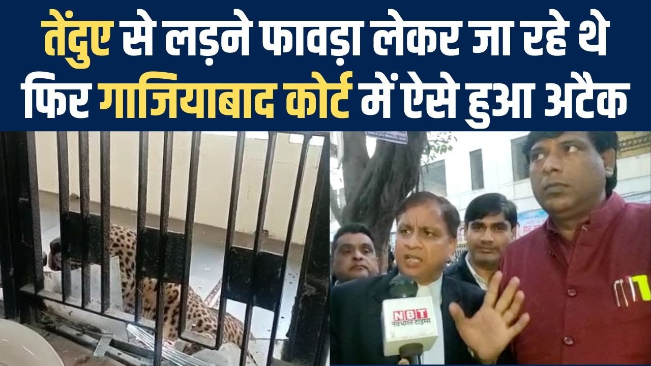 Ghaziabad Court Leopard Attack जब तेंदुए ने फावड़ा लेकर आए वकीलों को
