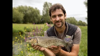 Fly Fishing for Chub with Dom Garnett