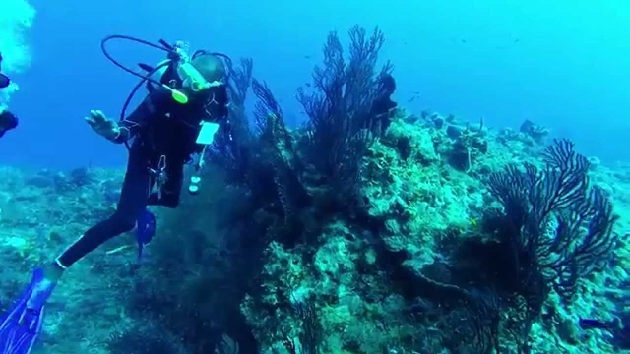 Scuba Diving at Couples Sans Souci, Ocho Rios, Jamaica, YouTube