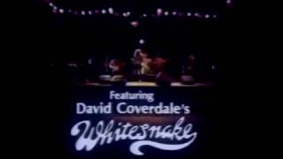 Whitesnake - First Performance 40Th Anniversary (Us/Can/Jp)