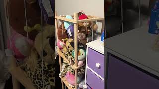 I Dont Think Its A Secret Stuffed Animals Can Take Over A Bedroom