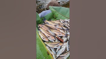 Cá Suối Tây Bắc