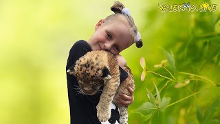 Lion cub and baby! Best Friends! Львенок и ребенок!