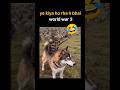 world war 3 #meme #funny #comedy #shorts #memes