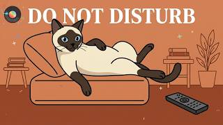 Do Not Disturb. – Cozy Vintage Jazz for Lazy Nights In screenshot 1