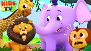 ABC Song | Boo Boo Song | Baby Shark | Bath Song | Baby Song | Cartoon | Nursery Rhymes & Kids Song