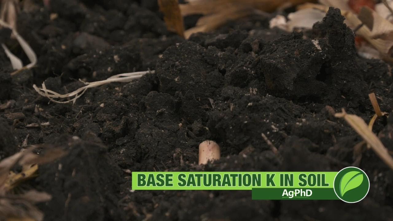 Base Saturation Potassium #1070 (Air Date 10-7-18)