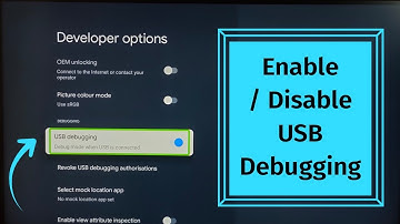 Huidi Google TV : How to Enable or Disable USB Debugging Mode