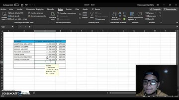 Video Tutorial: Validación de Datos en Planilla Excel