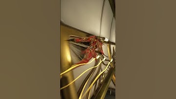 jumping jack #flash #gauss #warframe #tennocreate