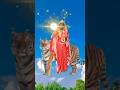 जय माता रानी 👣जय माता दी नवरात्रि स्पेशल 🙏 #shorts #shortvideo #status #viralshort #matarani #durga