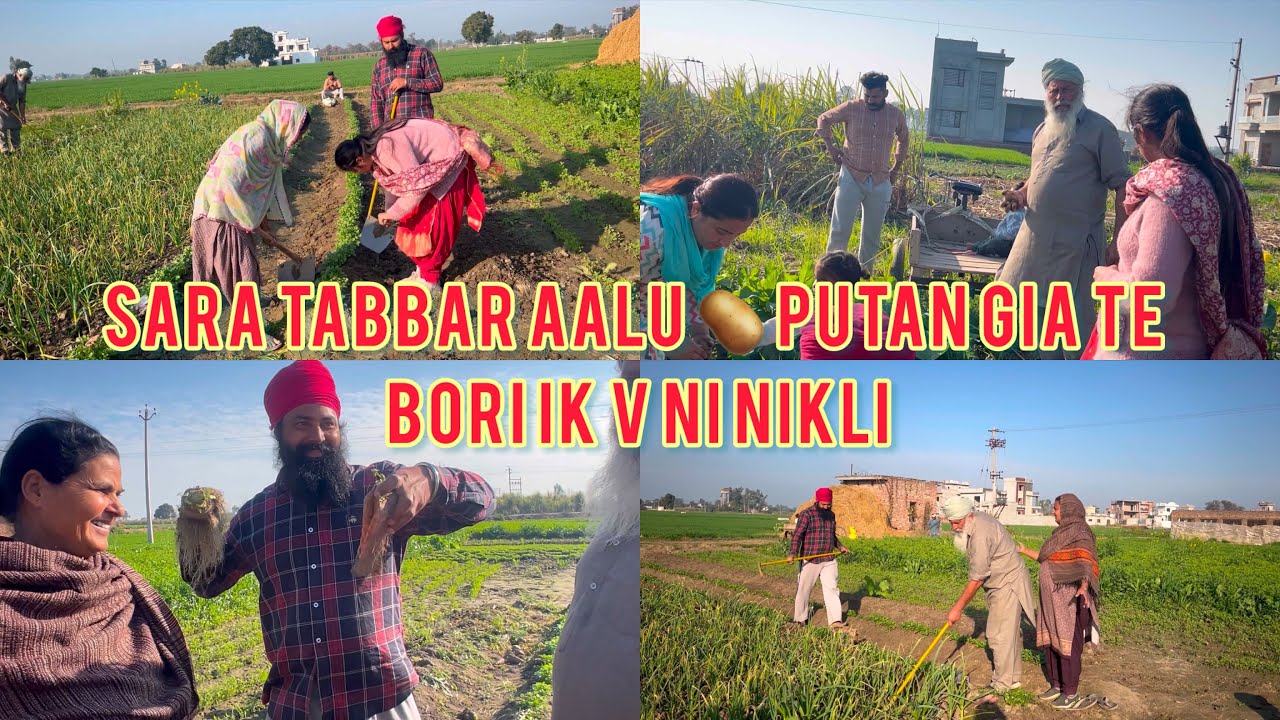 SARA tabbar Aalu Putan Gia Te Bori Ik Ve Nei Nikli 🤣🤣