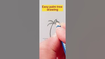 How to draw a palm tree || Very easy palm tree drawing