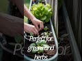 DIY Gutter Garden