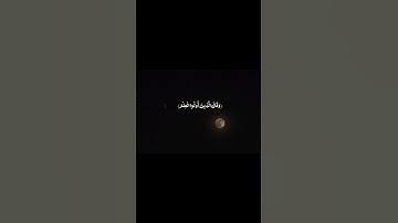 القارئ:سعود الشريم|سورة القصص|#اكسبلور #قران_كريم #المصحف #لايك #foryou #سعود_الشريم #سورة_القصص