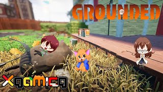 【Grounded】わしら小さくにゃって冒険します#6【ｘげ～みんぐ】