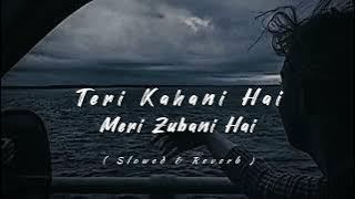 Teri Kahani Hai Meri Zubani Hai 🖤 | Lo-Fi Song ✨ | Roxen | Mustafa Siraj | Slowed and Reverb Song..