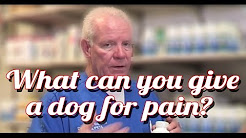 What Can I Give My Dog For Pain - Ask the Expert | Dr David Randall