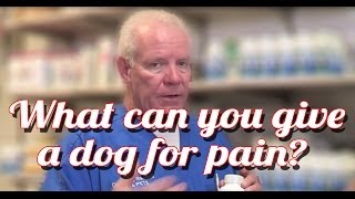 What Can I Give My Dog For Pain  Ask the Expert | Dr David Randall