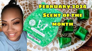Shamrock Splash Wax Review ☘️ by Life As Teisha Marie 38 views 2 months ago 1 minute, 38 seconds