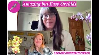 Amazing but Easy Orchids