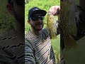 Love em! #fishing #bassfishing #fishingvideo #largemouthbass #smallmouthbass #fyp #shortsfeed
