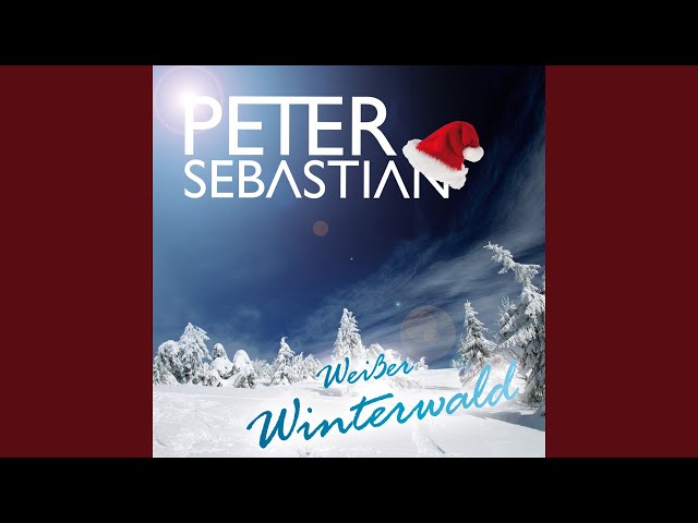 Peter Sebastian - Mein Weihnachtslied