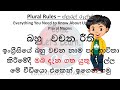 plural nouns rules- බහුවචන රීති - නාම පද භාවිතා කරනකොට දැනගන්න ඕනෙ රීති ටික. ලේසිම විදිහට