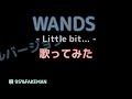 WANDS Little bit...【歌ってみた】フルバージョン