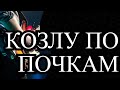 Локтем козлу по почкам - это по нашему, по-калифорнийский